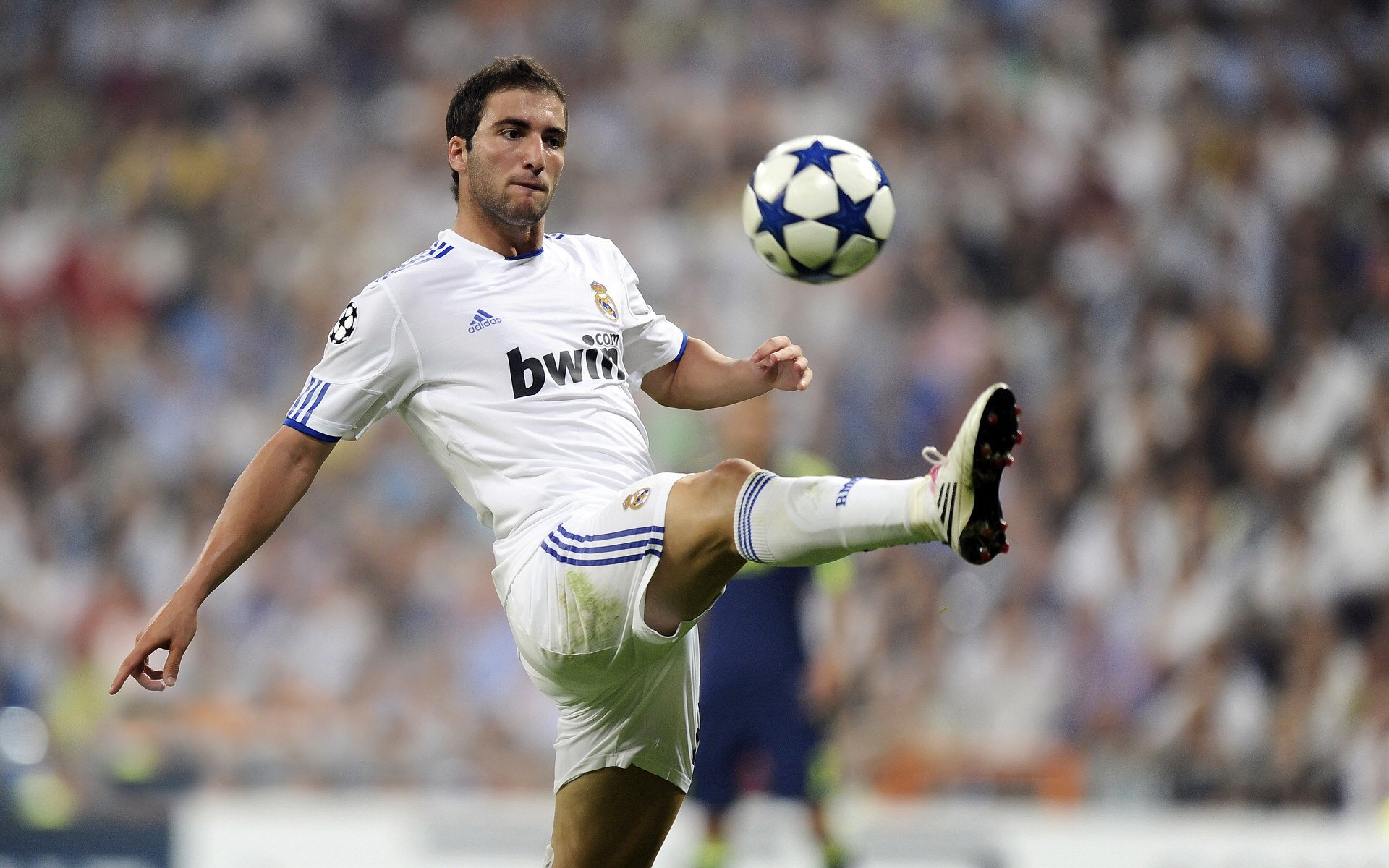 爱游戏-世界杯环境保护及绿色赛事，世界杯环境日手抄报